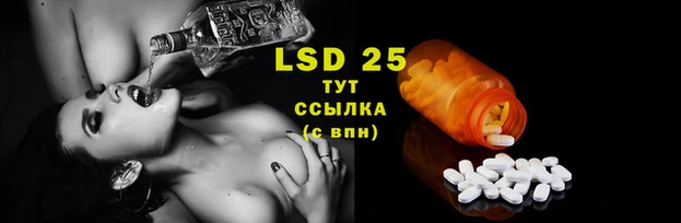 ешки Покачи