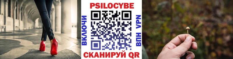 Галлюциногенные грибы Psilocybe блэк спрут как войти Саров