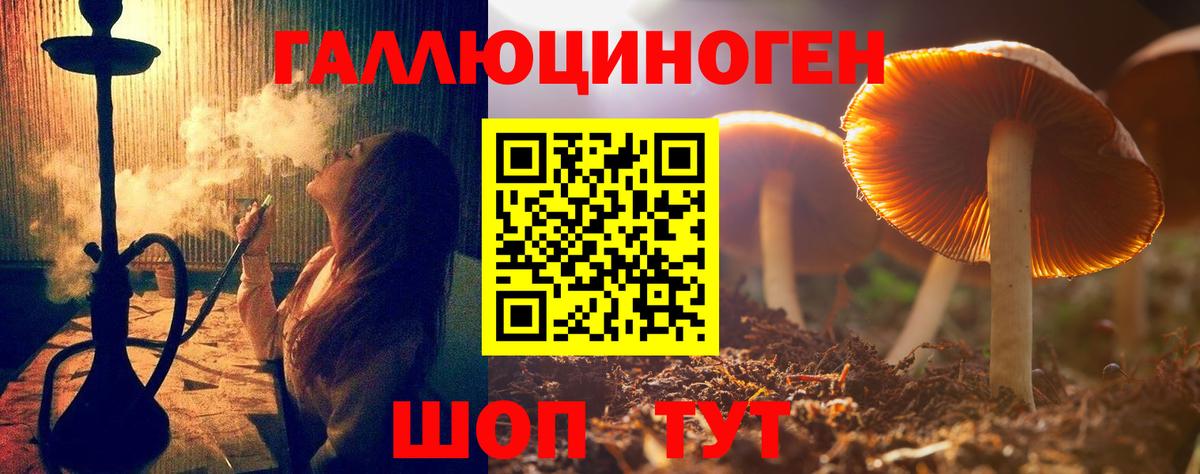 Псилоцибиновые грибы Psilocybine cubensis  Галлюциногенные грибы Cubensis  Вход с VPN  Саров 